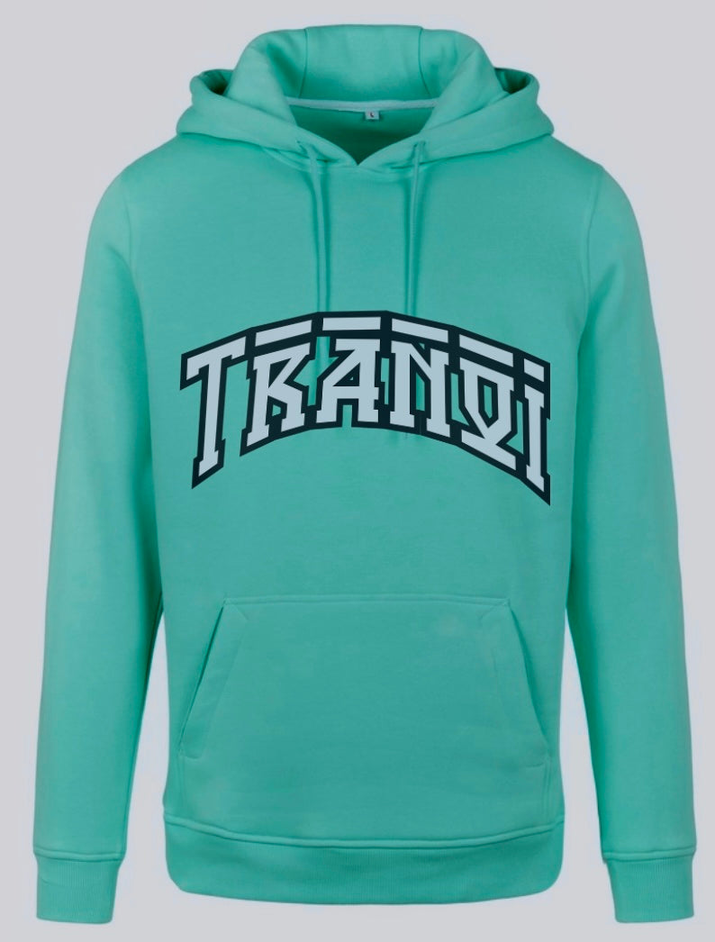 Describe the video for customers using screen readers